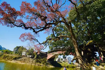 属于我的夏天作文（《迷人的夏天》）