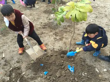 享受植树节的快乐时光作文（绿色意识）