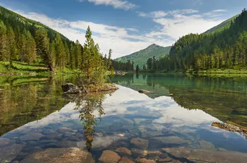 寻找夏天的作文（《夏天的风景》）