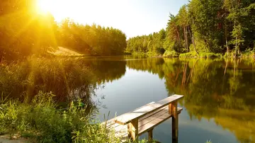 寻找夏天的作文（《夏天的风景》）