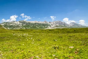 炎热的夏天作文（《夏天的风景》）