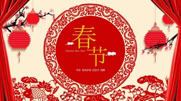 这个春节我真快乐作文（新年的祝福）