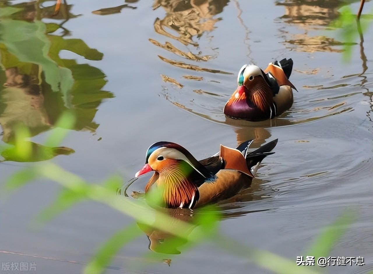 关于垂钓的诗词鉴赏(十首著名的垂钓古诗）