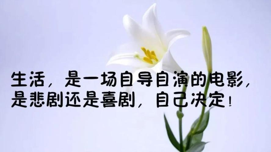 关于人生经典语录（踏过人生路，感受经典句）