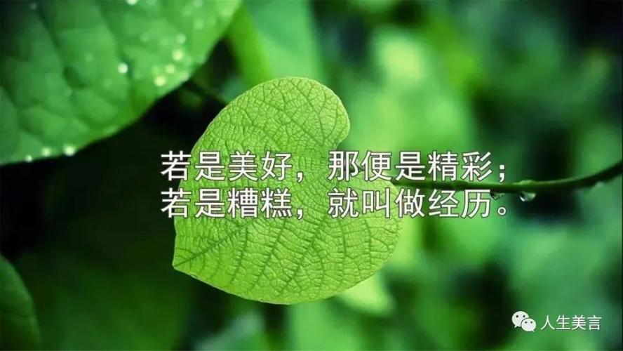 人生短暂的经典语录（哲理感悟名言
）