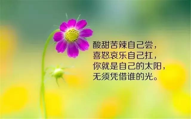 人生的比喻论证句子（用唯美的语言道出人生的哲理
）