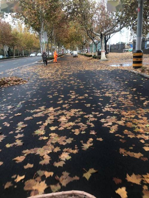 一场秋雨唯美说说（《秋雨绵绵，清风习习》
）