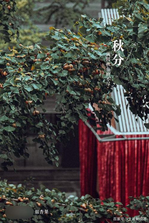 关于秋分的朋友圈文案（《秋分微信朋友圈：芸芸众生，共赏风景》
）