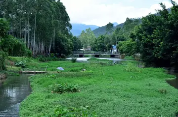 夏天的滋味优秀作文（《夏天的风景》）