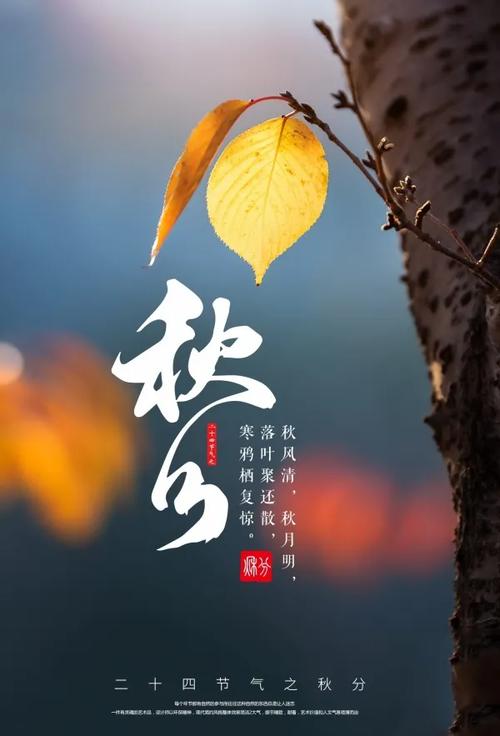 2021秋分节气微信说说祝福语（秋分之美，唯美句子相伴
）