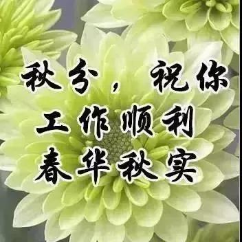 秋分微信祝福语（金秋时节，祝福传递）