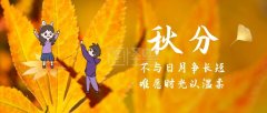 秋分节气语录（落叶纷飞，金风送爽
）