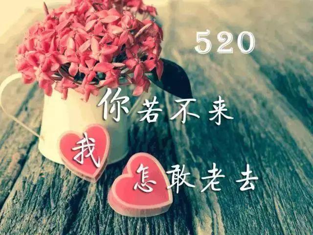 有关情人节祝福语简短暖心的好句子（花香缠绵，爱意满溢——情人节祝福语）