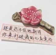 有关情感心情句子的句子简短（情感心情）