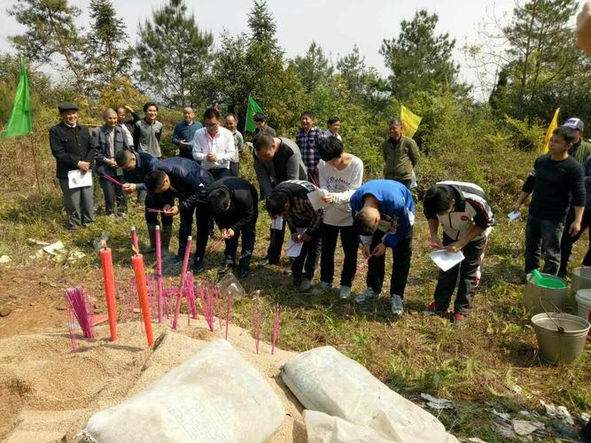 有关清明节线上祭祖佳句的句子有哪些（线上祭拜，思念不断
）