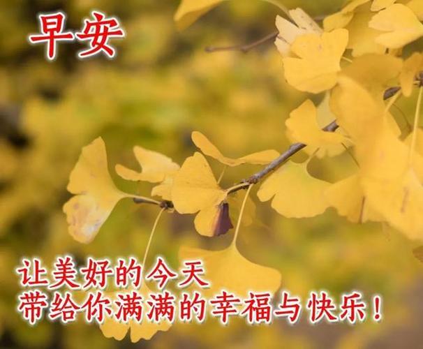 霜降祝福文案（用短句传递爱意，送去温暖祝福
）