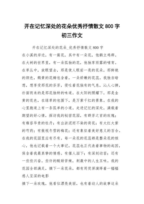 有关留在记忆深处的趣事的作文800字（《记忆深处的趣事》）