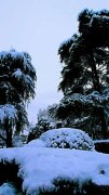 以冬天雪景回忆的作文题目（《冬季的雪景》）