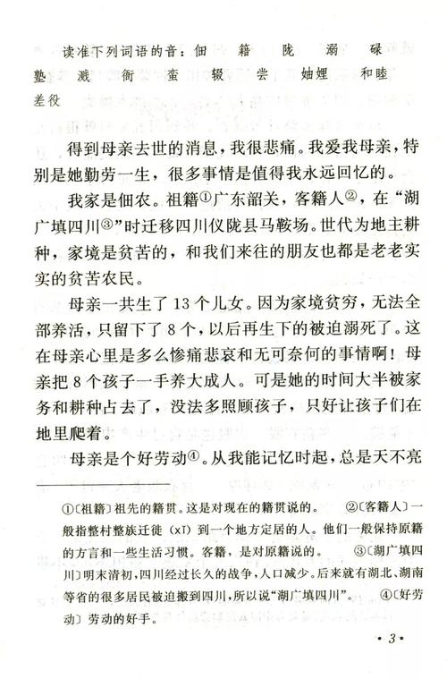 回忆我的母亲作文600字初中记叙文（《母亲，我永远的伴侣》）