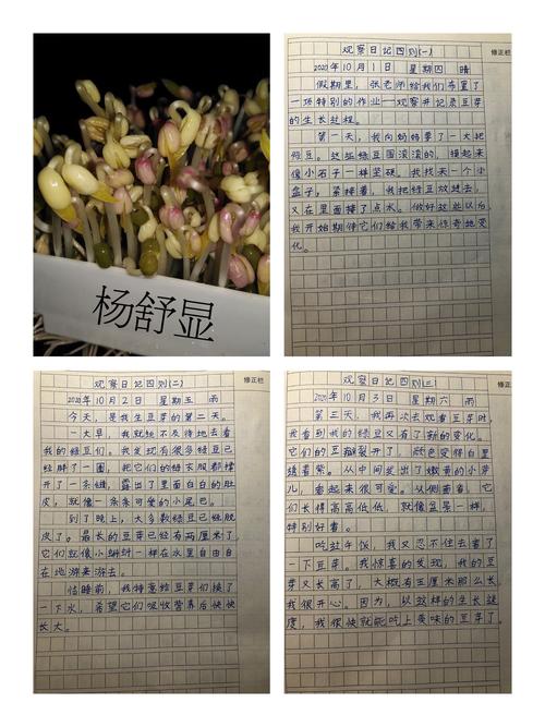 成长记录的作文300字（《记录着成长的喜怒哀乐
》）