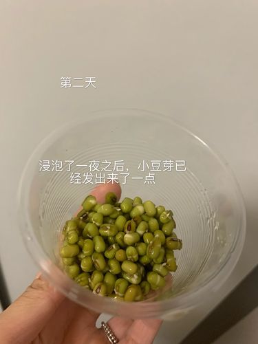 在成长的日子作文（《成长的足迹——从日记中走来》）