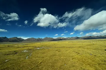 放飞青春的作文（《青春的风景》）