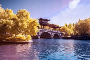 青春飞扬的作文（《青春的风景》）