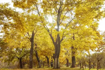 美好的青春作文（《青春的风景》）