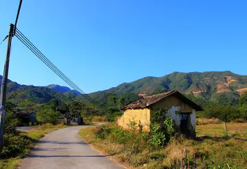 青春的色彩作文（《青春的风景》）