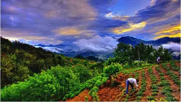 遗憾的青春作文（《青春的风景》）