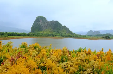 珍惜青春的作文（《青春的味道》）