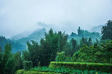 青春的主题作文（《青春的风景》）