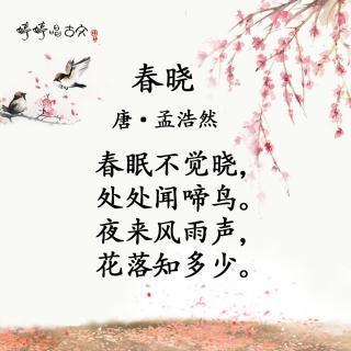 小学生必背古诗词（小学生必背13首古诗赏析）