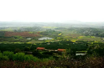 走过青春的作文（《青春的风景》）