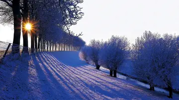 冬天的公园作文（《冬天的故事》）