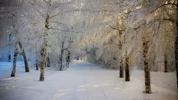 冬天的家乡作文（《冬天的脚步》）