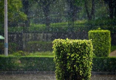 发朋友圈雨天早安的句子（一场秋雨一场寒早安的摘抄）