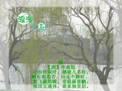 描写柳树的优美句子200字（描写秋天的柳树的和段落长句）