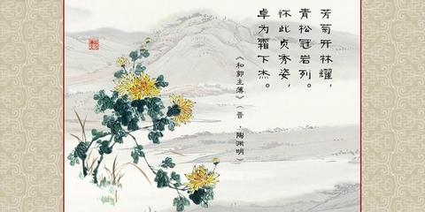 菊花品质和精神的诗句（形容菊花高尚品德的摘抄）