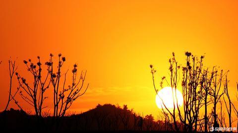 赞美夕阳的句子唯美短句（一句简短的夕阳寄语）