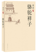 骆驼祥子读书笔记摘抄40篇（骆驼祥子第二章好句长句）