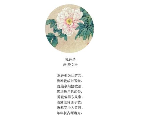 我最喜欢牡丹花的句子（描写牡丹的20字语句）