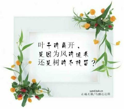 一段优美的句子100字（一段优美的100字左右赠言）