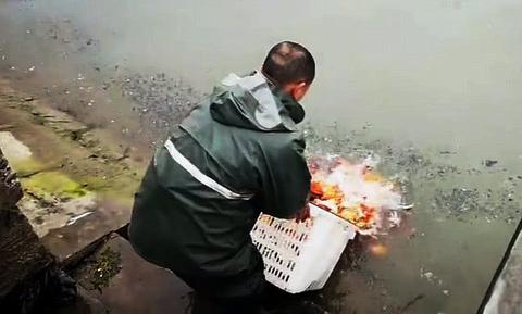 祝贺放生鱼的吉祥话语（关于放生鱼的唯美句子精辟）