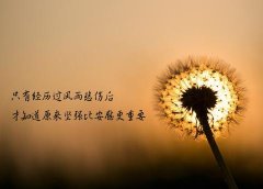 独一无二霸气个性签名短句（最精辟人生个性签名大全）