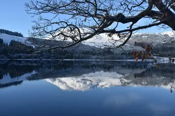 冬天的雪花作文（《冬天的味道》）