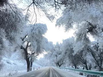 冬天的雪景作文（《冬天的颜色》）