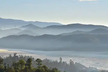 冬天的家乡作文（《家乡的风景》）