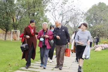 我们快乐的秋游作文（秋光无限好）