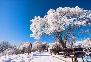 家乡的公园优秀作文（《家乡的风景》）